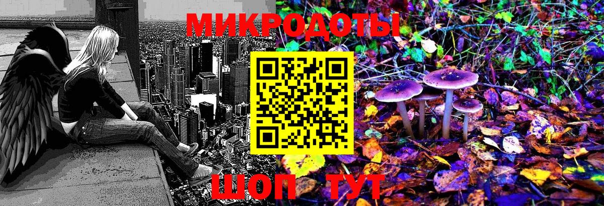 Черняховск  Псилоцибиновые грибы Magic Shrooms  Вход с VPN 