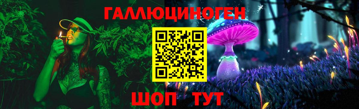 Галлюциногенные грибы Psilocybine cubensis Черняховск